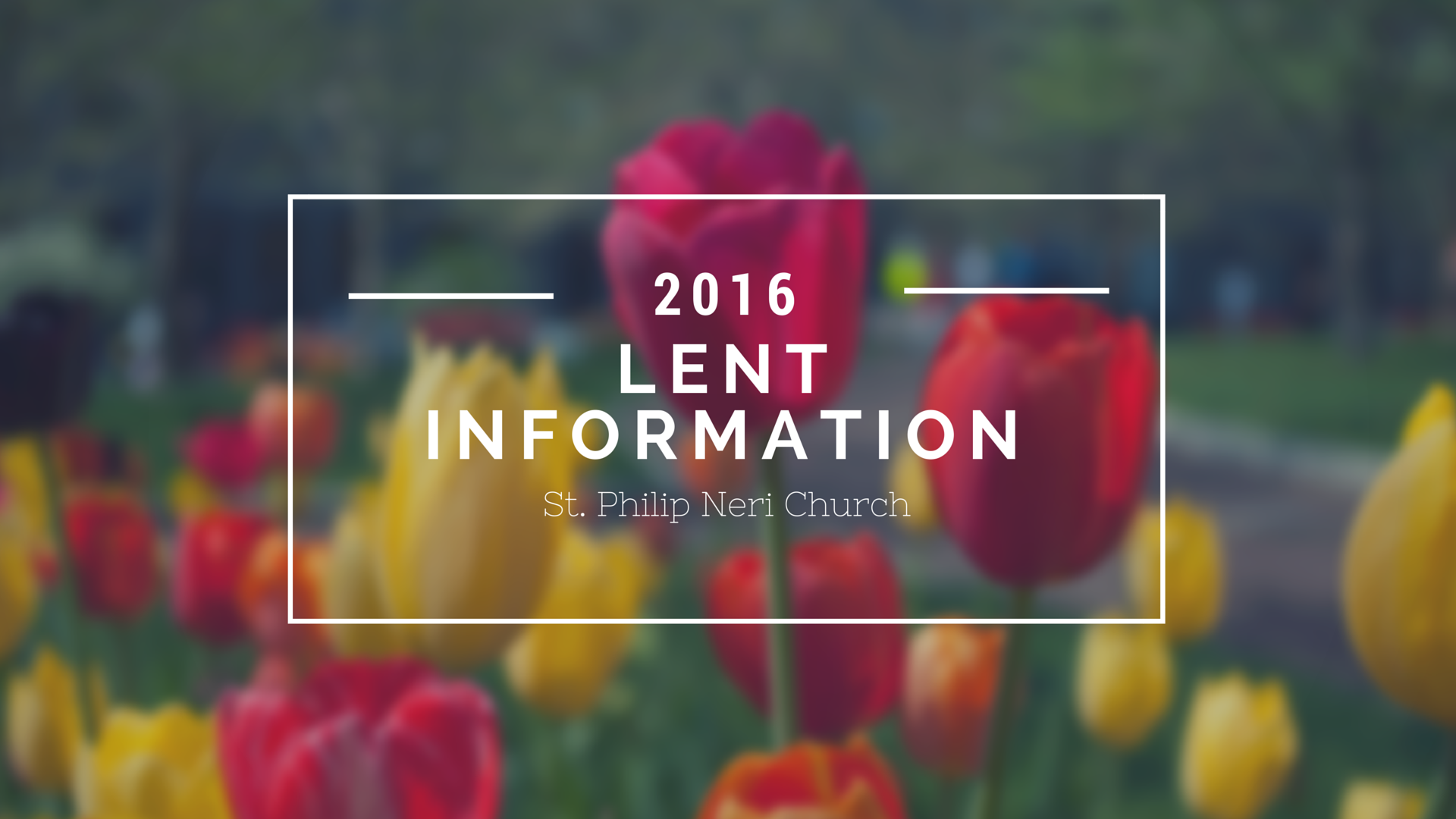 St. Philip Neri Lent Event Information