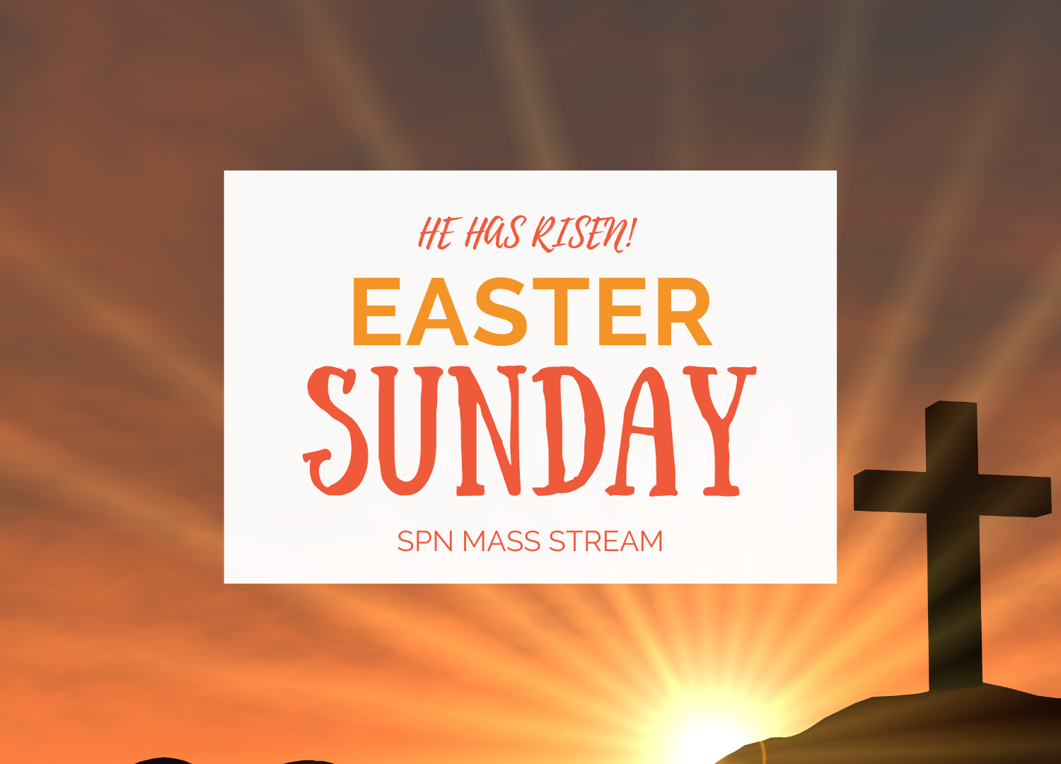 Easter Sunday Mass Stream 4420
