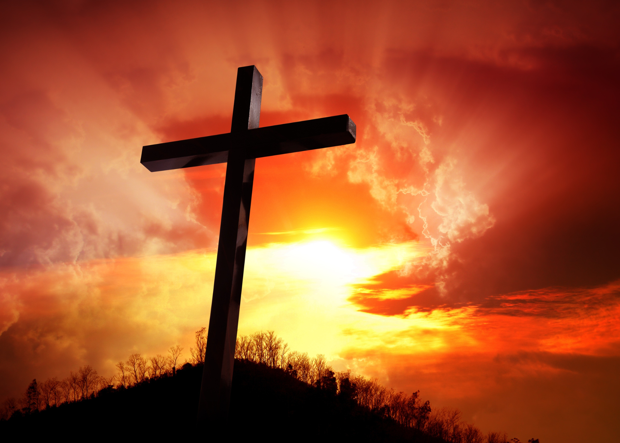 A Biblical Walk Through Christ's Passion